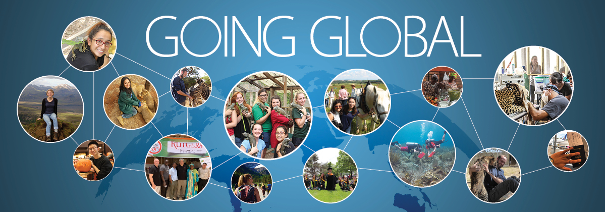 Going Global homepage image